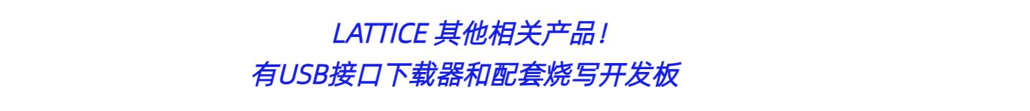 Lattice并口下载线详情展示
